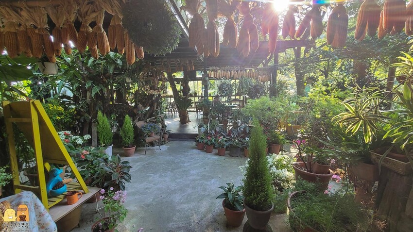 桃園龜山綠庭緣網美森林系咖啡廳，和煦陽光灑落遠方蟲鳴鳥叫，享受清幽休閒的下午茶，不用開到山區就能享受