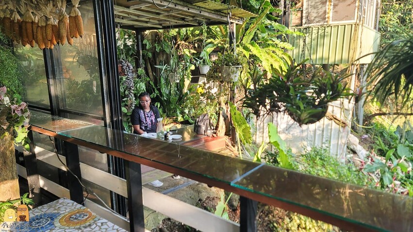 桃園龜山綠庭緣網美森林系咖啡廳，和煦陽光灑落遠方蟲鳴鳥叫，享受清幽休閒的下午茶，不用開到山區就能享受