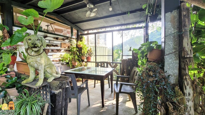 桃園龜山綠庭緣網美森林系咖啡廳，和煦陽光灑落遠方蟲鳴鳥叫，享受清幽休閒的下午茶，不用開到山區就能享受