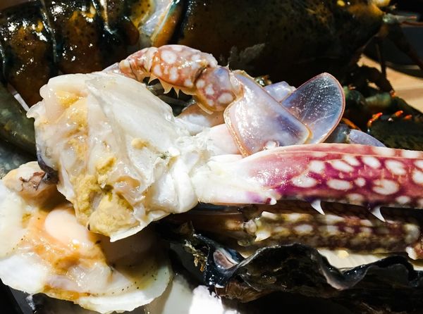 IMG_0325.JPG IMG_0325.JPG