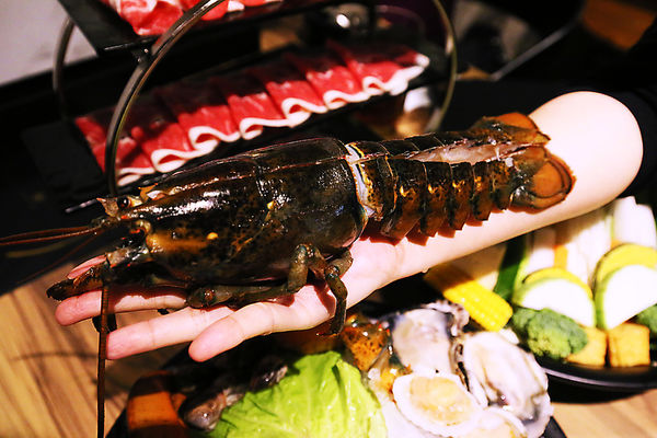 IMG_0051.JPG IMG_0051.JPG