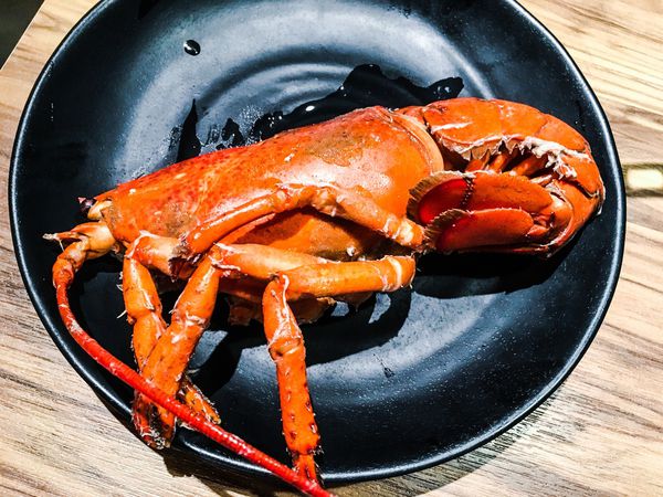 IMG_0318.JPG IMG_0318.JPG