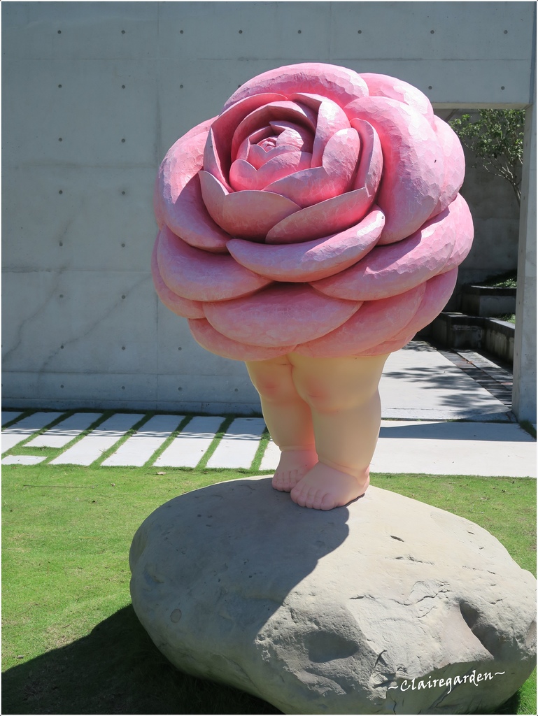 IMG_8333.JPG IMG_8333.JPG