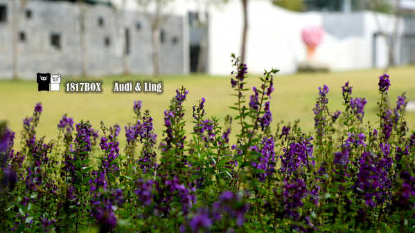 【南投。草屯】毓繡美術館。建築空間美學藝術。歧異獸。含羞的等候。巷弄美學。2016台灣建築獎首獎