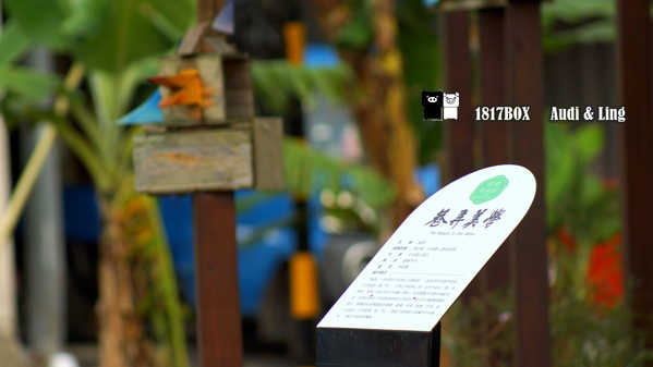 【南投。草屯】毓繡美術館。建築空間美學藝術。歧異獸。含羞的等候。巷弄美學。2016台灣建築獎首獎