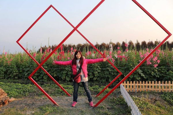 2017田中蜀葵花海藝術節:【彰化景點】田中窯創藝園區。季節限定的約會景點~蜀葵花季/落羽松秘境/無字天書/大玩吹泡泡/蜀葵花海浪漫迷宮/玻璃屋景觀餐廳/貓咪彩繪/親子旅遊及DIY體驗