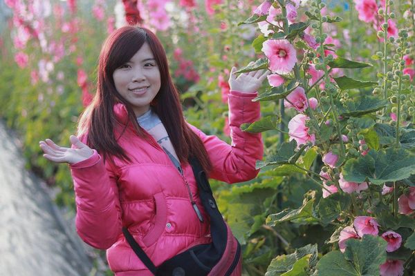 2017田中蜀葵花海藝術節:【彰化景點】田中窯創藝園區。季節限定的約會景點~蜀葵花季/落羽松秘境/無字天書/大玩吹泡泡/蜀葵花海浪漫迷宮/玻璃屋景觀餐廳/貓咪彩繪/親子旅遊及DIY體驗