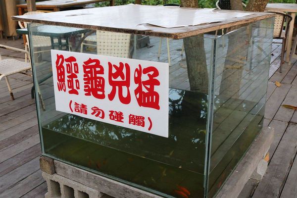 2017田中蜀葵花海藝術節:【彰化景點】田中窯創藝園區。季節限定的約會景點~蜀葵花季/落羽松秘境/無字天書/大玩吹泡泡/蜀葵花海浪漫迷宮/玻璃屋景觀餐廳/貓咪彩繪/親子旅遊及DIY體驗