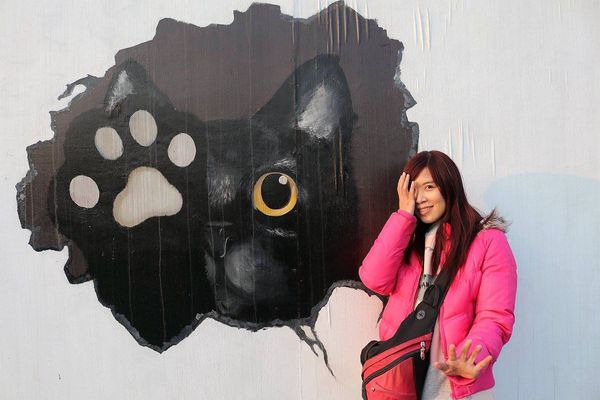 2017田中蜀葵花海藝術節:【彰化景點】田中窯創藝園區。季節限定的約會景點~蜀葵花季/落羽松秘境/無字天書/大玩吹泡泡/蜀葵花海浪漫迷宮/玻璃屋景觀餐廳/貓咪彩繪/親子旅遊及DIY體驗