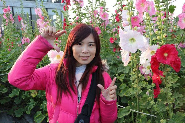 2017田中蜀葵花海藝術節:【彰化景點】田中窯創藝園區。季節限定的約會景點~蜀葵花季/落羽松秘境/無字天書/大玩吹泡泡/蜀葵花海浪漫迷宮/玻璃屋景觀餐廳/貓咪彩繪/親子旅遊及DIY體驗