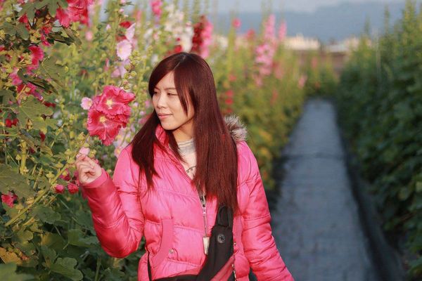 2017田中蜀葵花海藝術節:【彰化景點】田中窯創藝園區。季節限定的約會景點~蜀葵花季/落羽松秘境/無字天書/大玩吹泡泡/蜀葵花海浪漫迷宮/玻璃屋景觀餐廳/貓咪彩繪/親子旅遊及DIY體驗