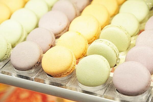 草屯屯鱻火鍋,南投草屯吃到飽名店,200種以上品項自助百匯超