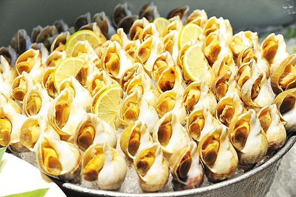 草屯屯鱻火鍋,南投草屯吃到飽名店,200種以上品項自助百匯超