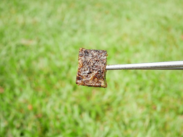 滷味城:滷味城-桃園特色滷味 產品選項多 中藥滷汁超入味 到店、宅配都方便 誰說中秋節一定要吃月餅 今年就改吃滷味大餐