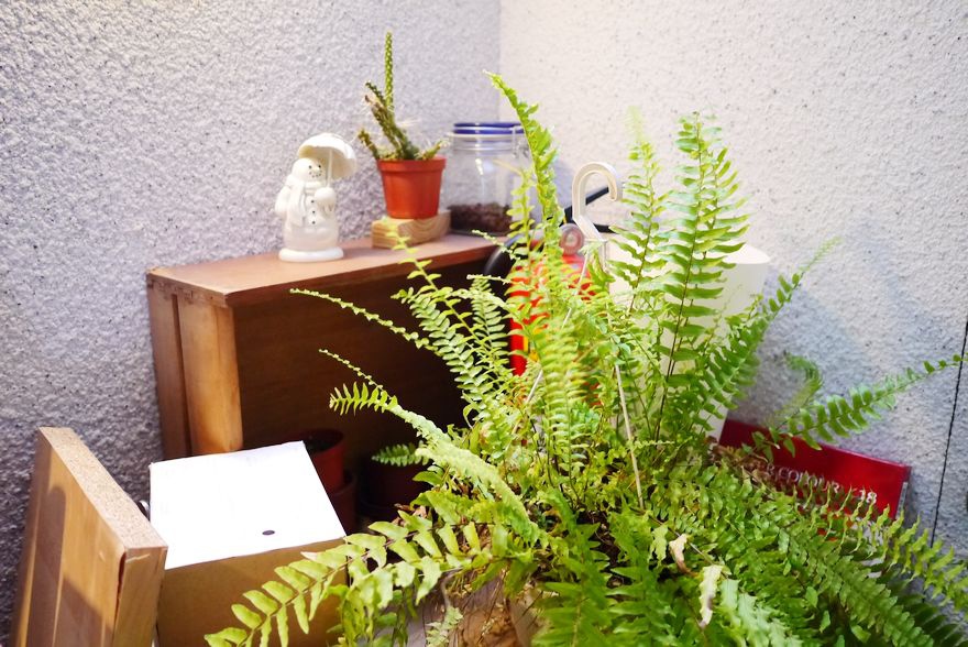 P2330264.jpg P2330264.jpg