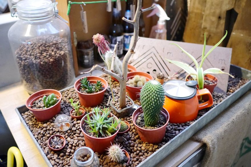 P2330263.jpg P2330263.jpg