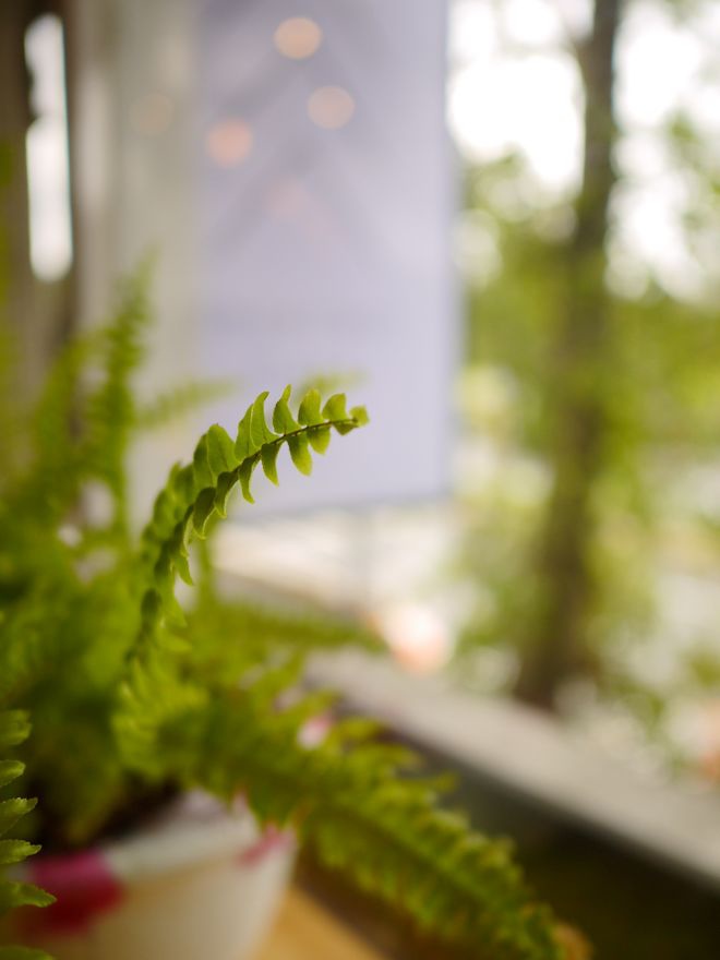 P2330359.jpg P2330359.jpg