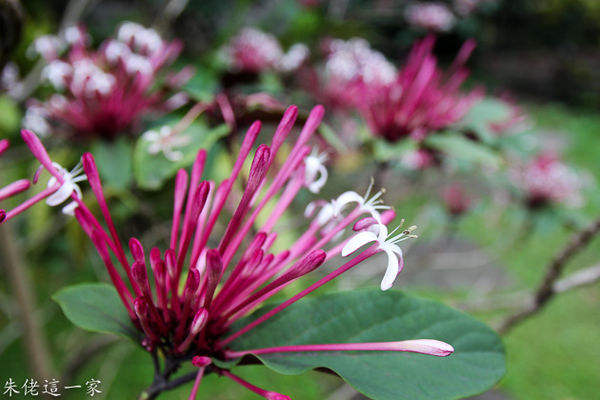 IMG_0161.jpg IMG_0161.jpg