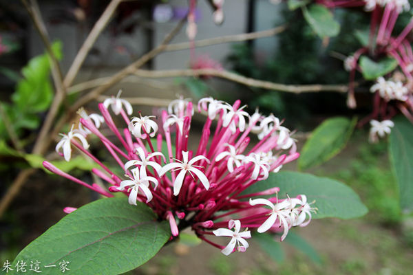 IMG_0163.jpg IMG_0163.jpg