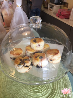 【台灣・府城・2015】♥iPeen口碑券♥格納修Ganache手作蛋糕