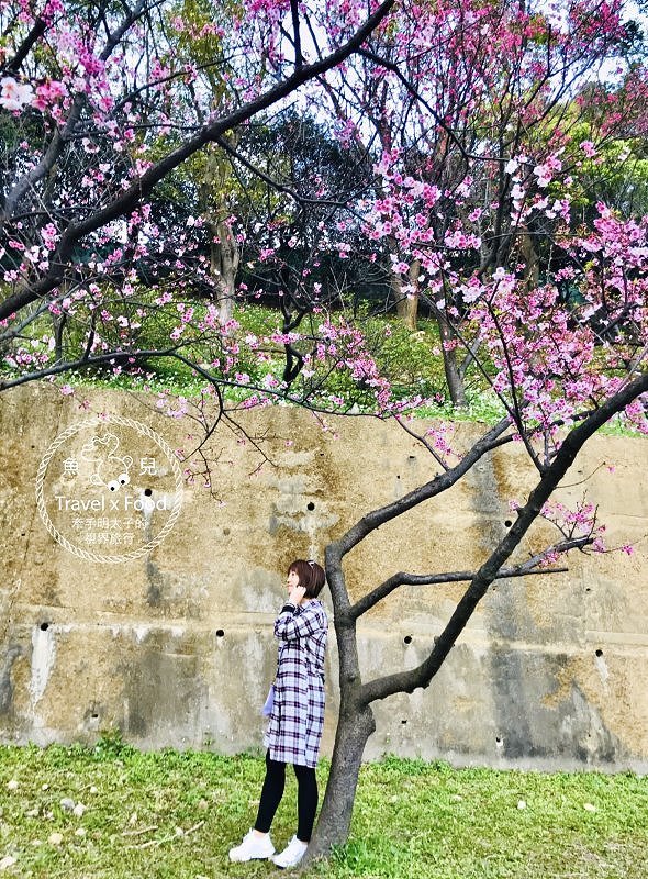 祈福兼賞櫻，壽山巖觀音寺櫻花開（2/14花況） @魚兒 x 牽手明太子的「視」界旅行