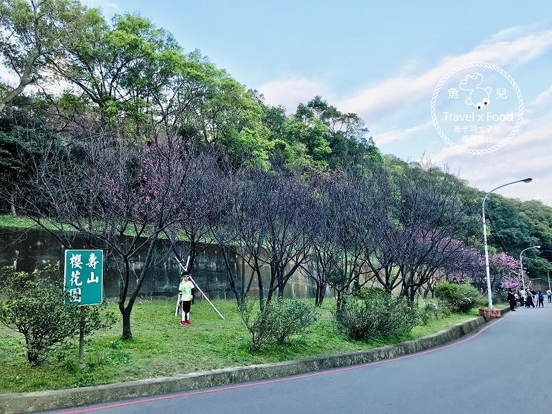 祈福兼賞櫻，壽山巖觀音寺櫻花開（2/14花況） @魚兒 x 牽手明太子的「視」界旅行