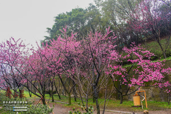 壽山巖觀音寺|桃園市/龜山區(風兒媚、花正俏，速來壽山賞花嬌；乾隆賜、觀音威，護國祐民真慈悲。)