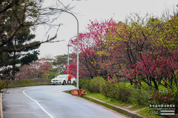 壽山巖觀音寺|桃園市/龜山區(風兒媚、花正俏，速來壽山賞花嬌；乾隆賜、觀音威，護國祐民真慈悲。)