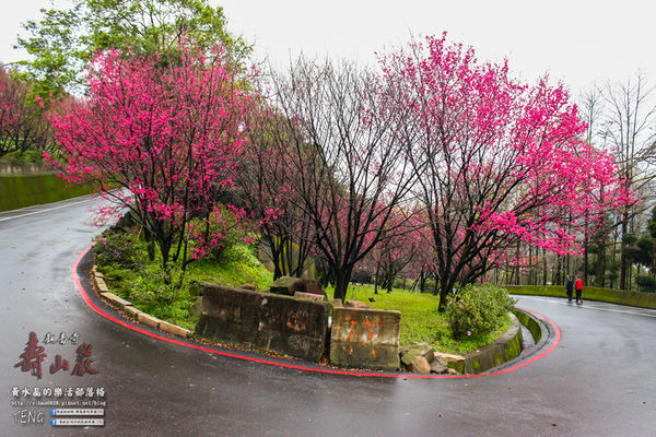 壽山巖觀音寺|桃園市/龜山區(風兒媚、花正俏，速來壽山賞花嬌；乾隆賜、觀音威，護國祐民真慈悲。)