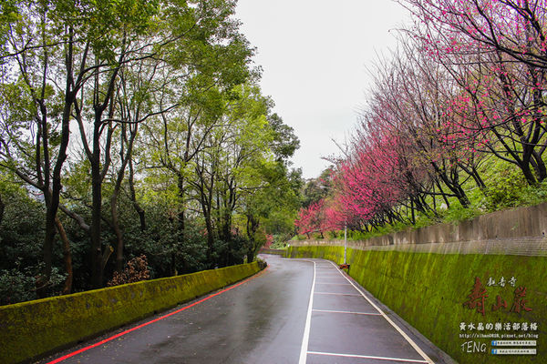 壽山巖觀音寺|桃園市/龜山區(風兒媚、花正俏，速來壽山賞花嬌；乾隆賜、觀音威，護國祐民真慈悲。)