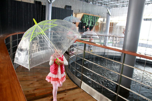 IMG_0043.jpg IMG_0043.jpg