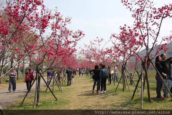 IMG_9171.JPG IMG_9171.JPG