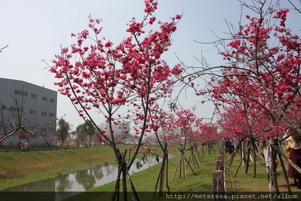 IMG_9182.JPG IMG_9182.JPG