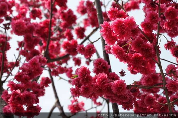 IMG_9188.JPG IMG_9188.JPG