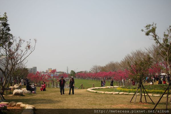 IMG_9241.JPG IMG_9241.JPG