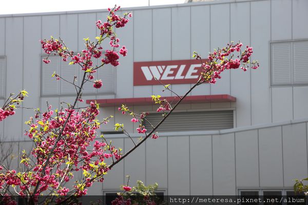 IMG_9189.JPG IMG_9189.JPG