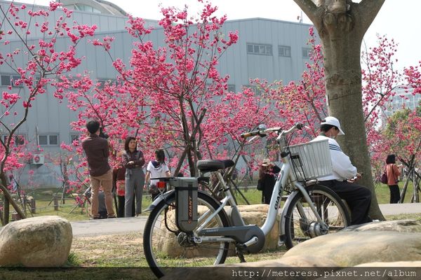 IMG_9257.JPG IMG_9257.JPG