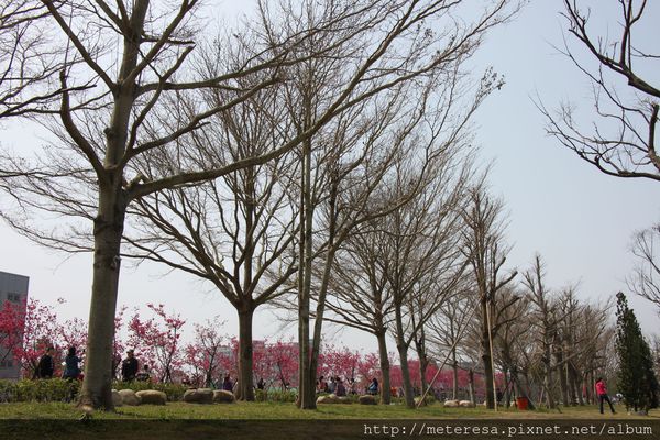 IMG_9263.JPG IMG_9263.JPG