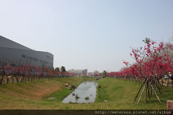 IMG_9210.JPG IMG_9210.JPG