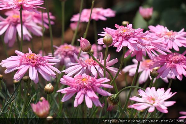 IMG_9216.JPG IMG_9216.JPG