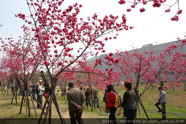 IMG_9206.JPG IMG_9206.JPG