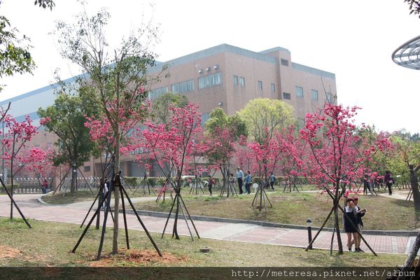 IMG_9219.JPG IMG_9219.JPG