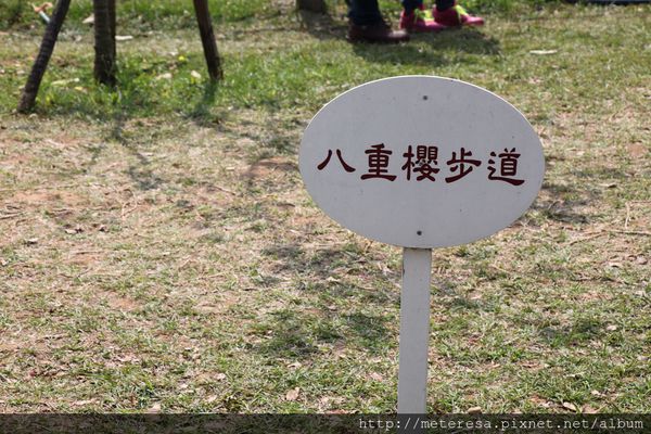 IMG_9177.JPG IMG_9177.JPG