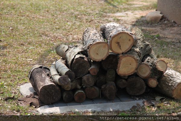 IMG_9251.JPG IMG_9251.JPG