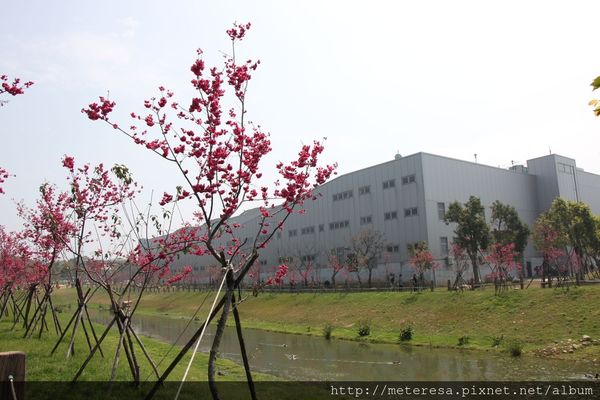 IMG_9147.JPG IMG_9147.JPG