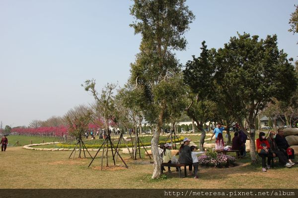 IMG_9243.JPG IMG_9243.JPG