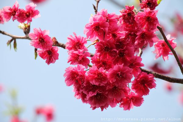 IMG_9150.JPG IMG_9150.JPG