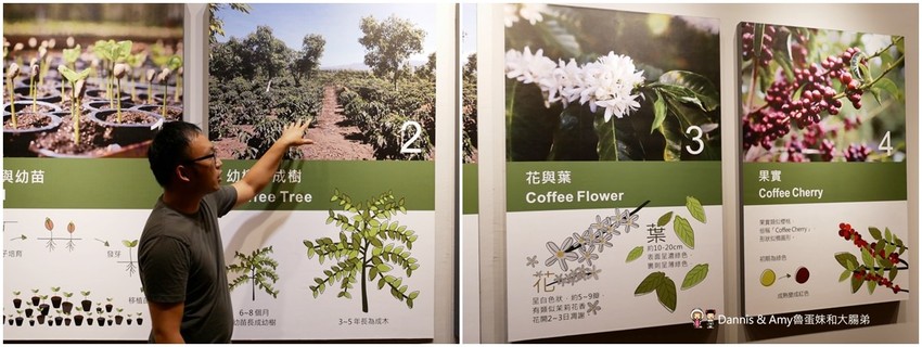 《桃園平鎮美食》Alpha Coffee &Tea是全台最大咖啡炒焙廠也是隱身工業區的隱藏版咖啡館︱(影片)
