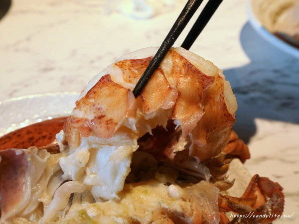 源鍋精緻鍋物:台中美食│源鍋〃活體海鮮鍋一人獨享,鮮味指數大爆表!激推麻油系列~