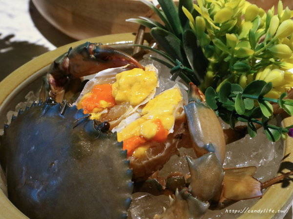 源鍋精緻鍋物:台中美食│源鍋〃活體海鮮鍋一人獨享,鮮味指數大爆表!激推麻油系列~